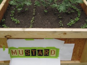 mustard sign