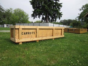 Carrot Crate
