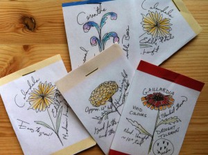 seed packets